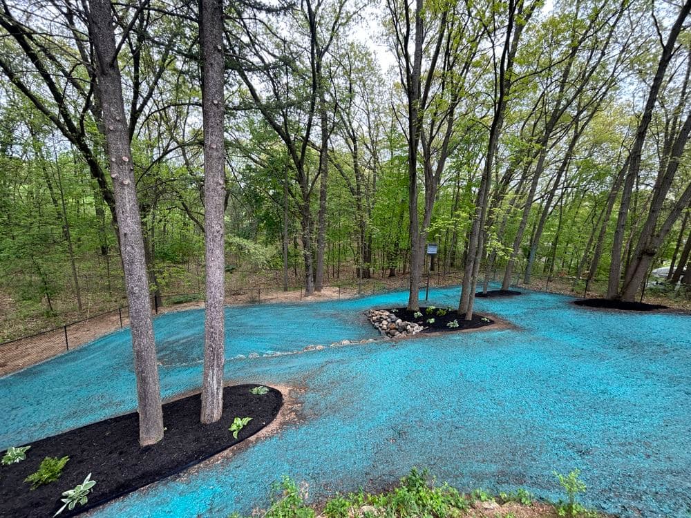 Vibrant blue landscape fabric covering garden area with trees and stone path in a wooded setting.